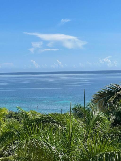 Spring Garden Mobay Resort Luxurious Apartments Montego Bay Buitenkant foto