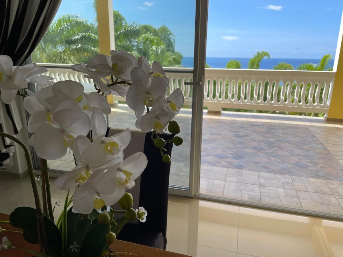 Spring Garden Mobay Resort Luxurious Apartments Montego Bay Buitenkant foto